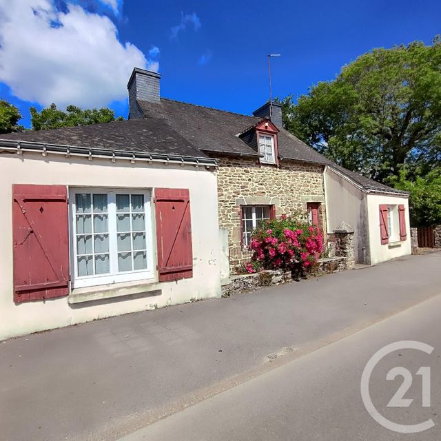 maison - STE ANNE D AURAY - 56